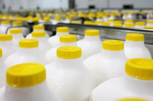 Lurpak maker Arla Foods eyes cuts as it battles rising prices and 'consumer uncertainty'
